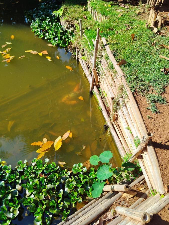 Rancho Lux Daire Águas de Lindóia Dış mekan fotoğraf